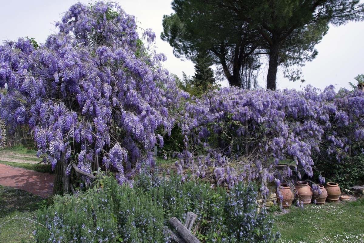 Willa Molino In Chianti Mercatale Val Di Pesa Zewnętrze zdjęcie