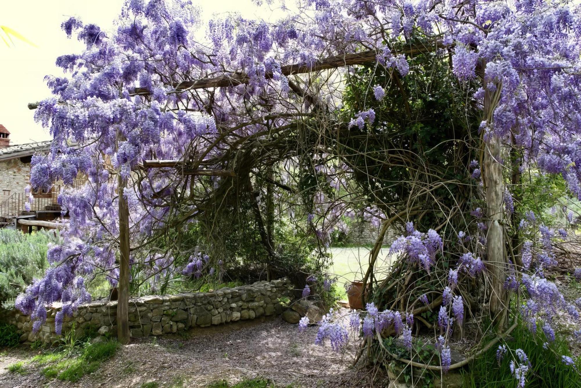 Willa Molino In Chianti Mercatale Val Di Pesa Zewnętrze zdjęcie